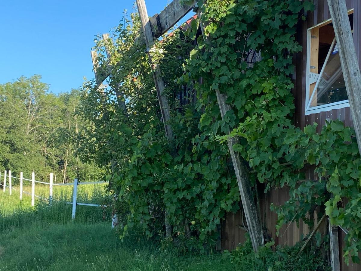 Annahof Lägenhet Argenbuhl Exteriör bild