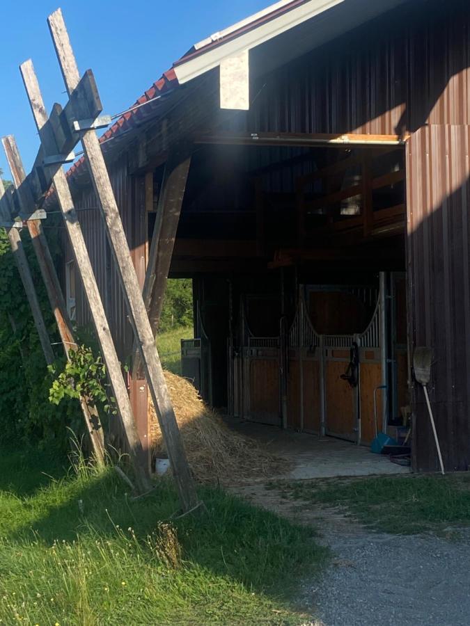 Annahof Lägenhet Argenbuhl Exteriör bild